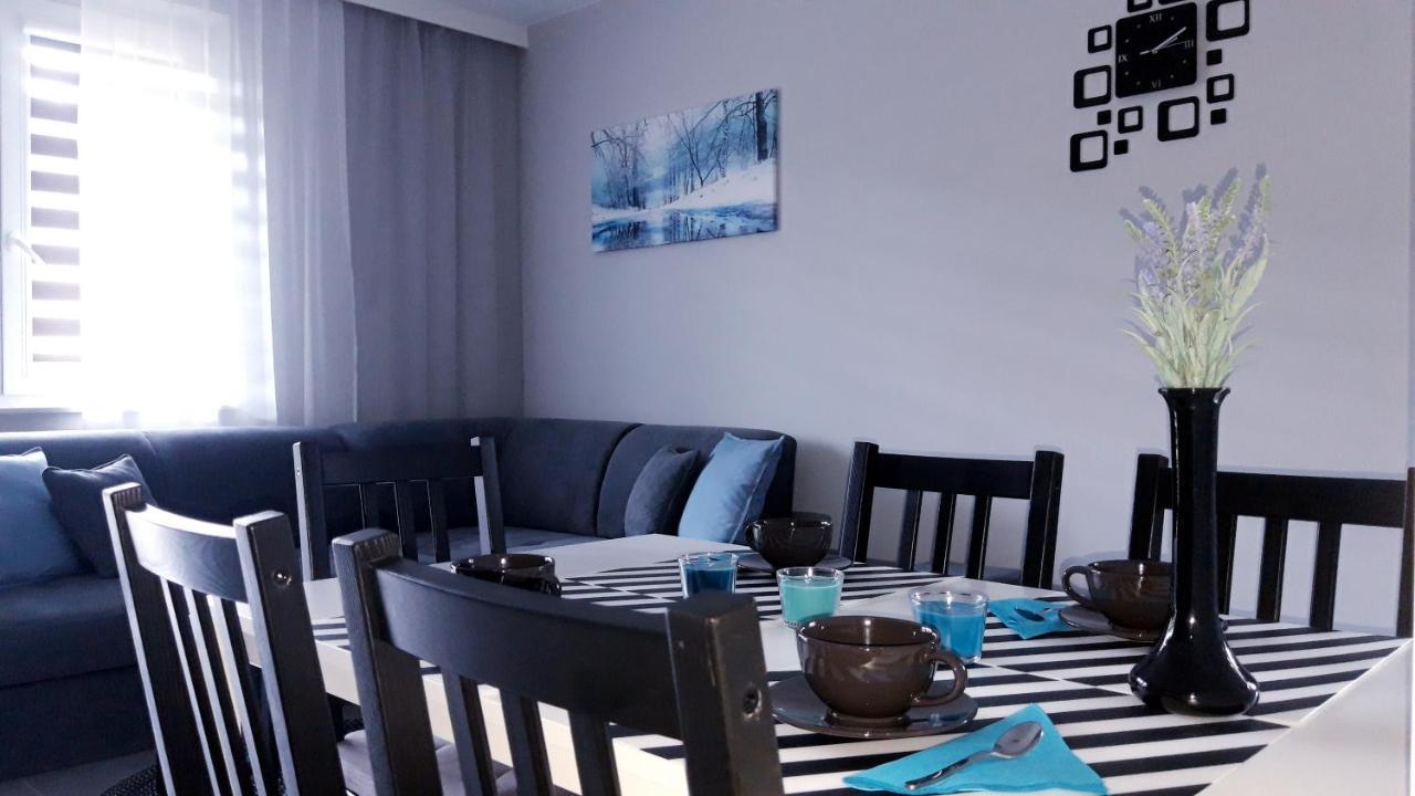 Apartament Wiktoria Ustrzyki Dolne Extérieur photo